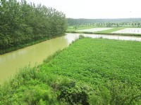 企業(yè)環(huán)境